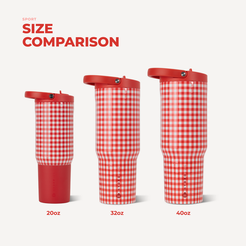 Sport 20oz | Insulated Water Bottle Leakproof Flip Straw – Summer Picnic